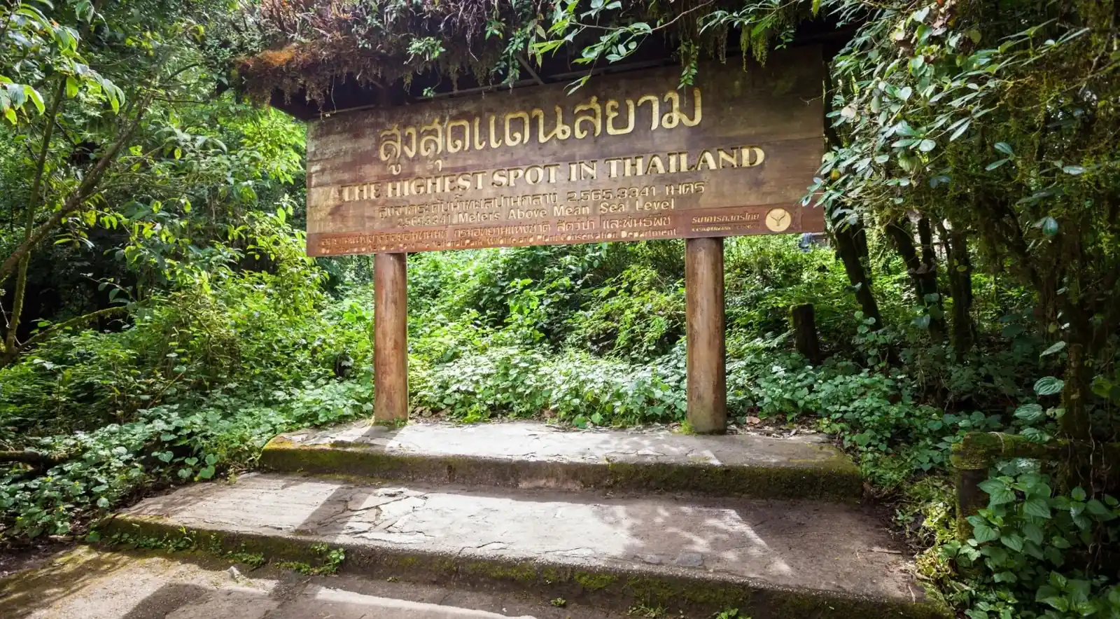 Highest point of Thailand sign among forest trees