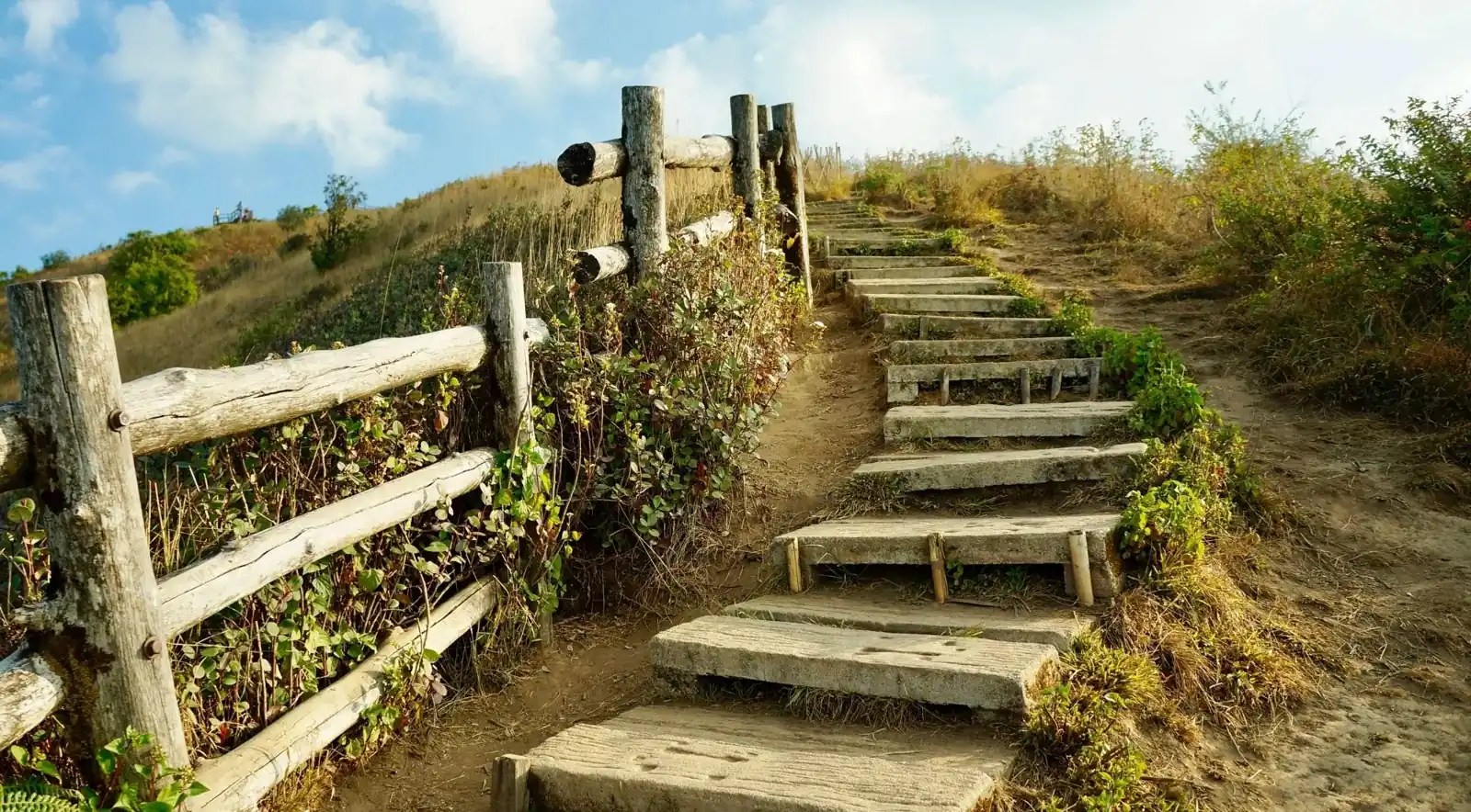 Steps climbing a grassy mountain trail
