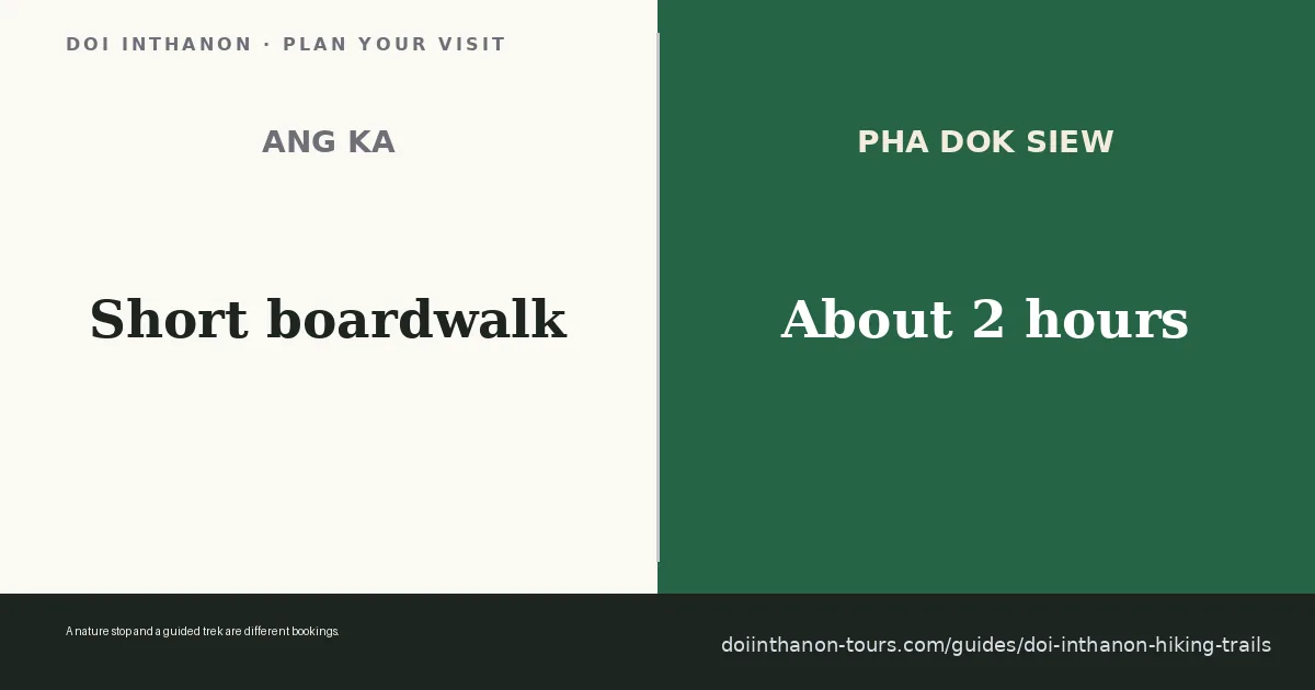 Doi Inthanon Hiking: Three Trails Compared planning summary