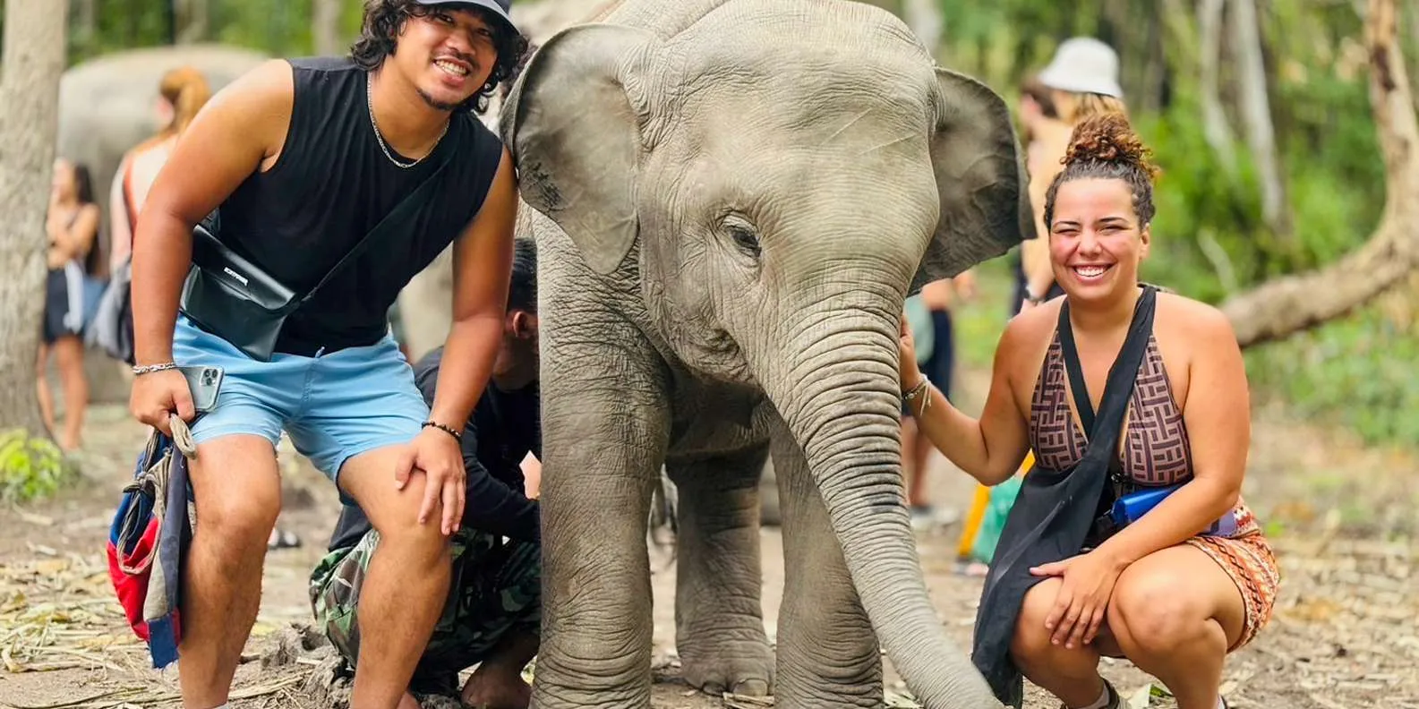 Chiang Mai: Doi Inthanon and Ethical Elephant Sanctuary Tour